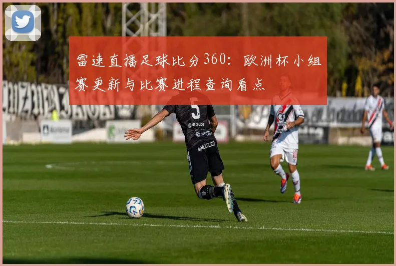 雷速直播足球比分360：欧洲杯小组赛更新与比赛进程查询看点
