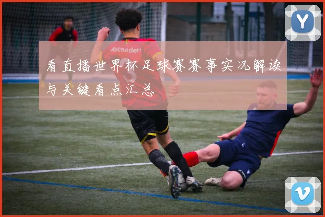 看直播世界杯足球赛赛事实况解读与关键看点汇总