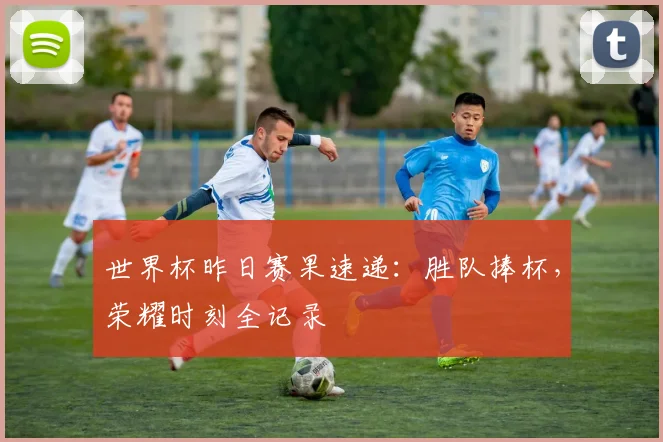 世界杯昨日赛果速递：胜队捧杯，荣耀时刻全记录