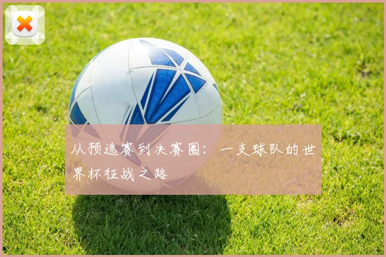 从预选赛到决赛圈：一支球队的世界杯征战之路