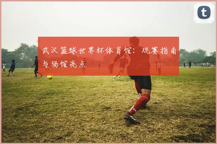 武汉篮球世界杯体育馆:观赛指南与场馆亮点