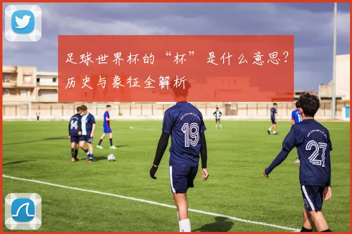 足球世界杯的“杯”是什么意思?历史与象征全解析