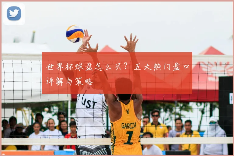 世界杯球盘怎么买?五大热门盘口详解与策略